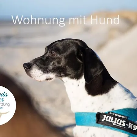 Haus Jungnamen Whg. 10 * Wittdün